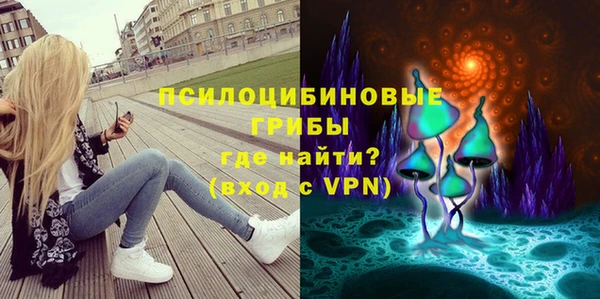 марки lsd Новозыбков