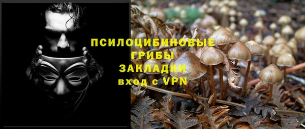 крисы Бронницы